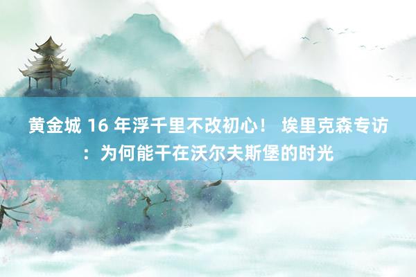 黄金城 16 年浮千里不改初心！ 埃里克森专访：为何能干在沃尔夫斯堡的时光