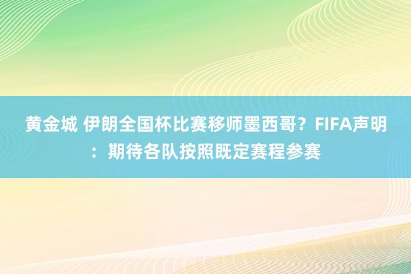 黄金城 伊朗全国杯比赛移师墨西哥？FIFA声明：期待各队按照既定赛程参赛