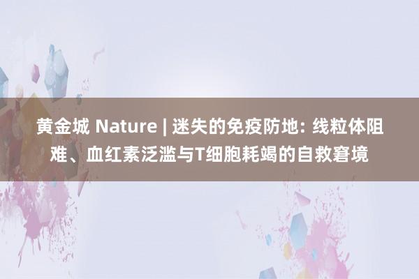 黄金城 Nature | 迷失的免疫防地: 线粒体阻难、血红素泛滥与T细胞耗竭的自救窘境