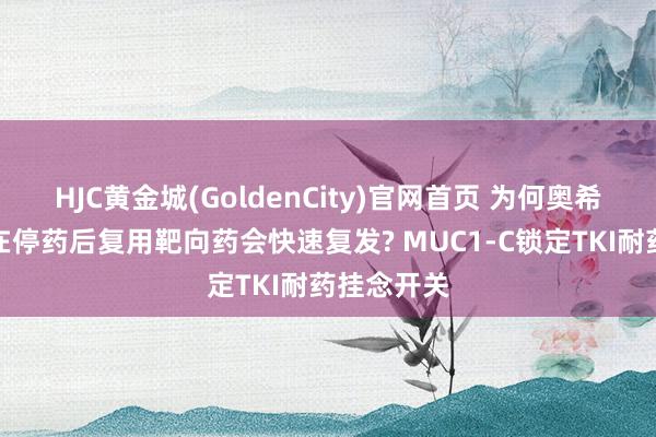 HJC黄金城(GoldenCity)官网首页 为何奥希替尼耐药在停药后复用靶向药会快速复发? MUC1-C锁定TKI耐药挂念开关