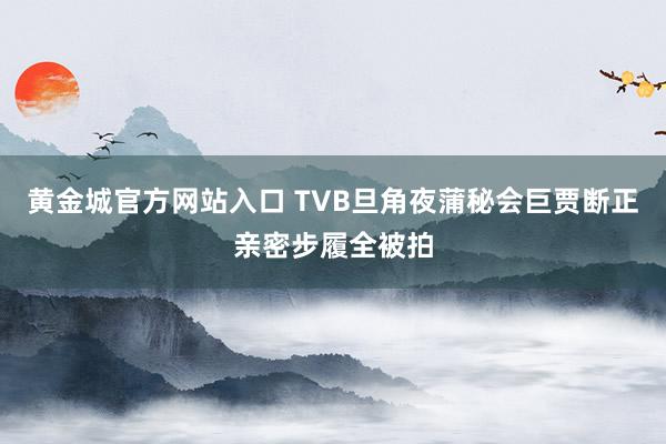 黄金城官方网站入口 TVB旦角夜蒲秘会巨贾断正亲密步履全被拍