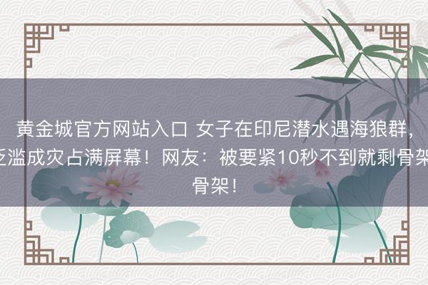 黄金城官方网站入口 女子在印尼潜水遇海狼群，泛滥成灾占满屏幕！网友：被要紧10秒不到就剩骨架！