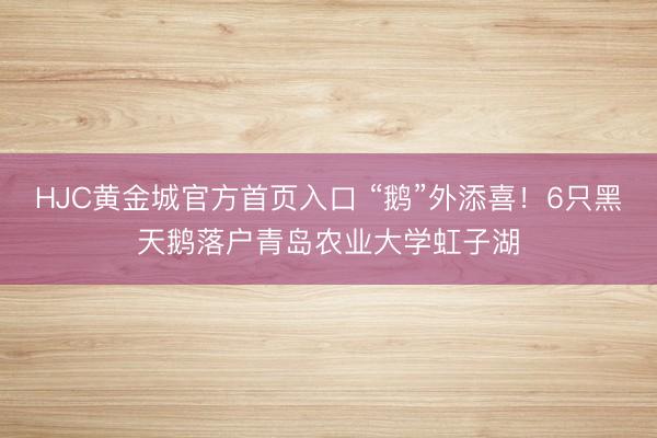 HJC黄金城官方首页入口 “鹅”外添喜！6只黑天鹅落户青岛农业大学虹子湖
