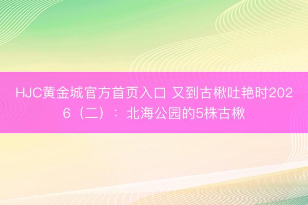 HJC黄金城官方首页入口 又到古楸吐艳时2026（二）：北海公园的5株古楸