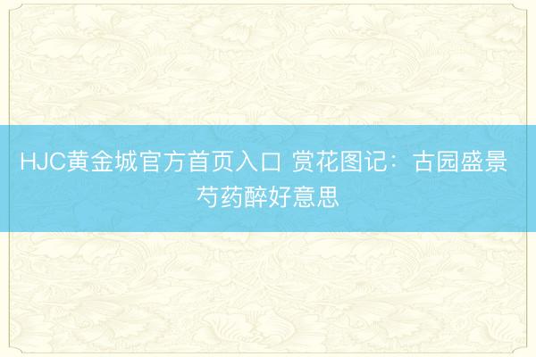 HJC黄金城官方首页入口 赏花图记：古园盛景 芍药醉好意思
