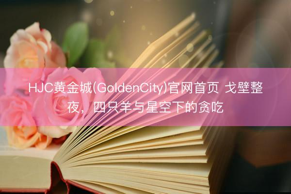 HJC黄金城(GoldenCity)官网首页 戈壁整夜，四只羊与星空下的贪吃