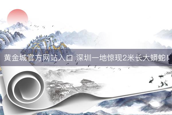 黄金城官方网站入口 深圳一地惊现2米长大蟒蛇！
