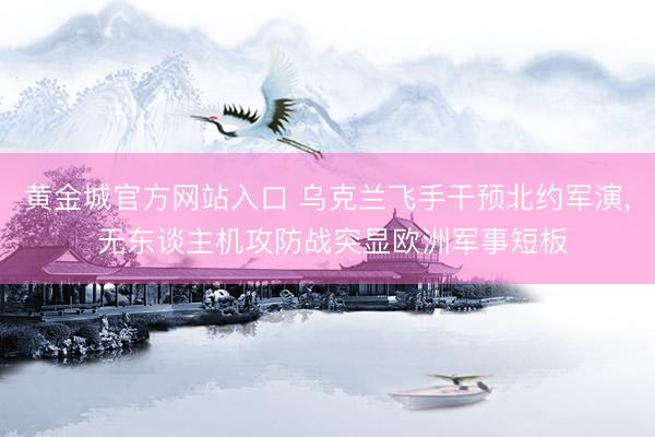 黄金城官方网站入口 乌克兰飞手干预北约军演， 无东谈主机攻防战突显欧洲军事短板