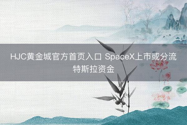 HJC黄金城官方首页入口 SpaceX上市或分流特斯拉资金