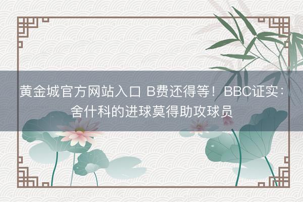 黄金城官方网站入口 B费还得等!BBC证实:舍什科的进球莫得助攻球员