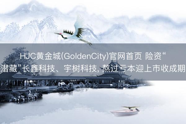 HJC黄金城(GoldenCity)官网首页 险资“潜藏”长鑫科技、宇树科技， 熬过亏本迎上市收成期