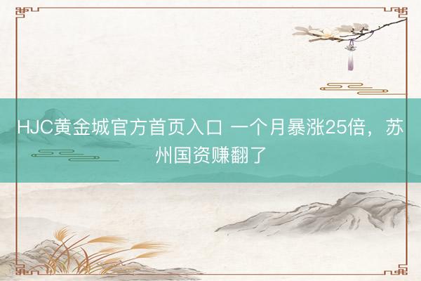 HJC黄金城官方首页入口 一个月暴涨25倍，苏州国资赚翻了