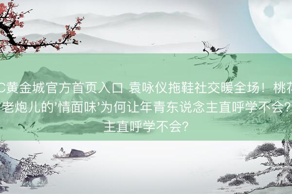 HJC黄金城官方首页入口 袁咏仪拖鞋社交暖全场！桃花坞老炮儿的'情面味'为何让年青东说念主直呼学不会？