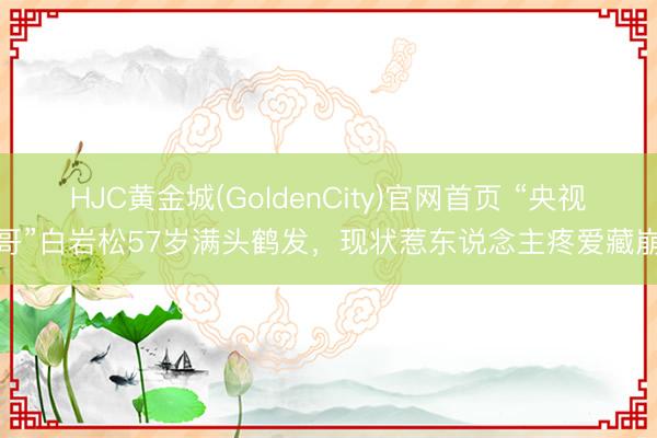 HJC黄金城(GoldenCity)官网首页 “央视一哥”白岩松57岁满头鹤发,现状惹东说念主疼爱藏崩溃
