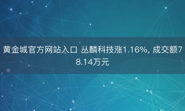黄金城官方网站入口 丛麟科技涨1.16%， 成交额78.14万元