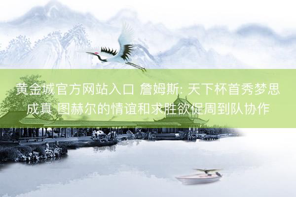 黄金城官方网站入口 詹姆斯: 天下杯首秀梦思成真 图赫尔的情谊和求胜欲促周到队协作